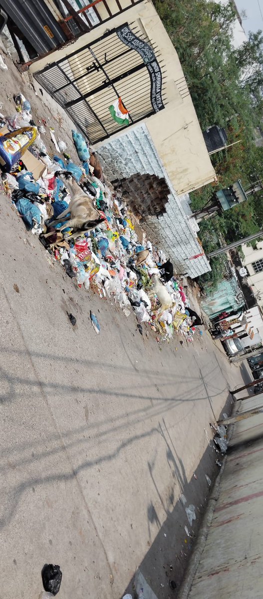 SyedAbdulShafi1's tweet photo. @CommissionrGHMC 
@CommissionrGHMC @AMOHcircle8 @ce_ghmc  every day huge garbage in Hashamabad new indranagar area https://t.co/B8mDQSgMtX