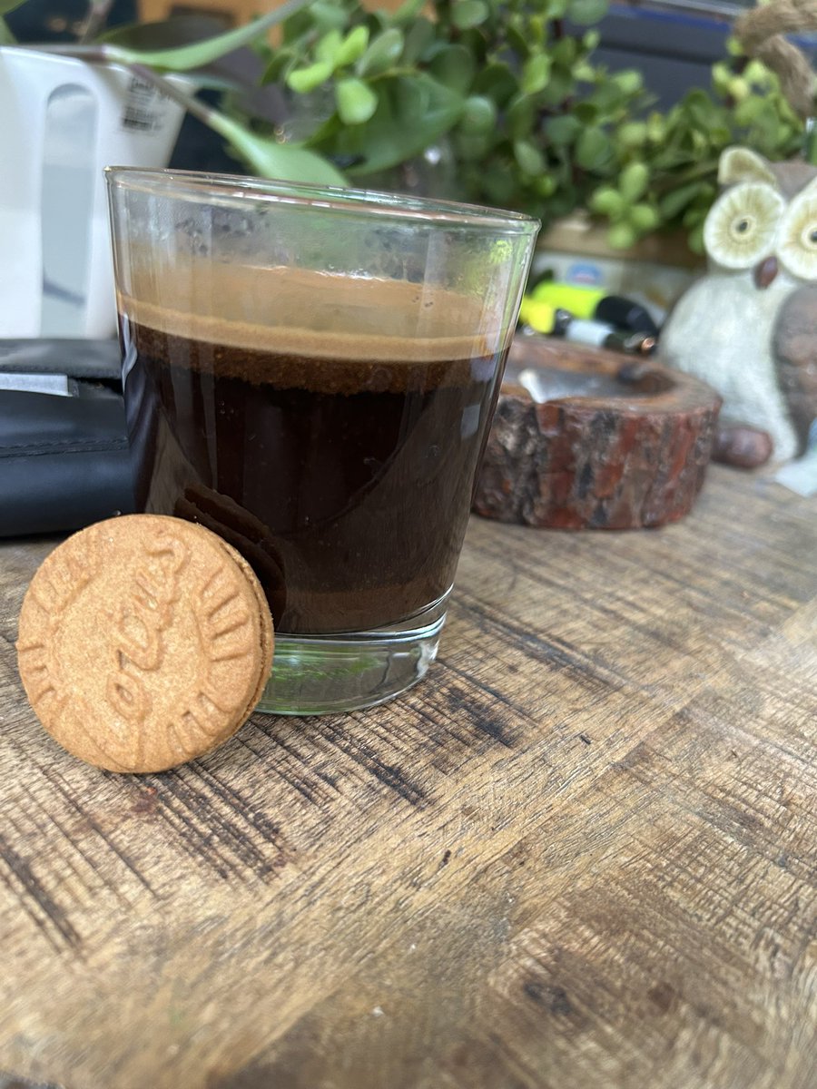 סער חיים tweet media