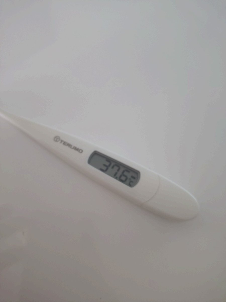 Mino56｜Hokkaido Fishing tweet media