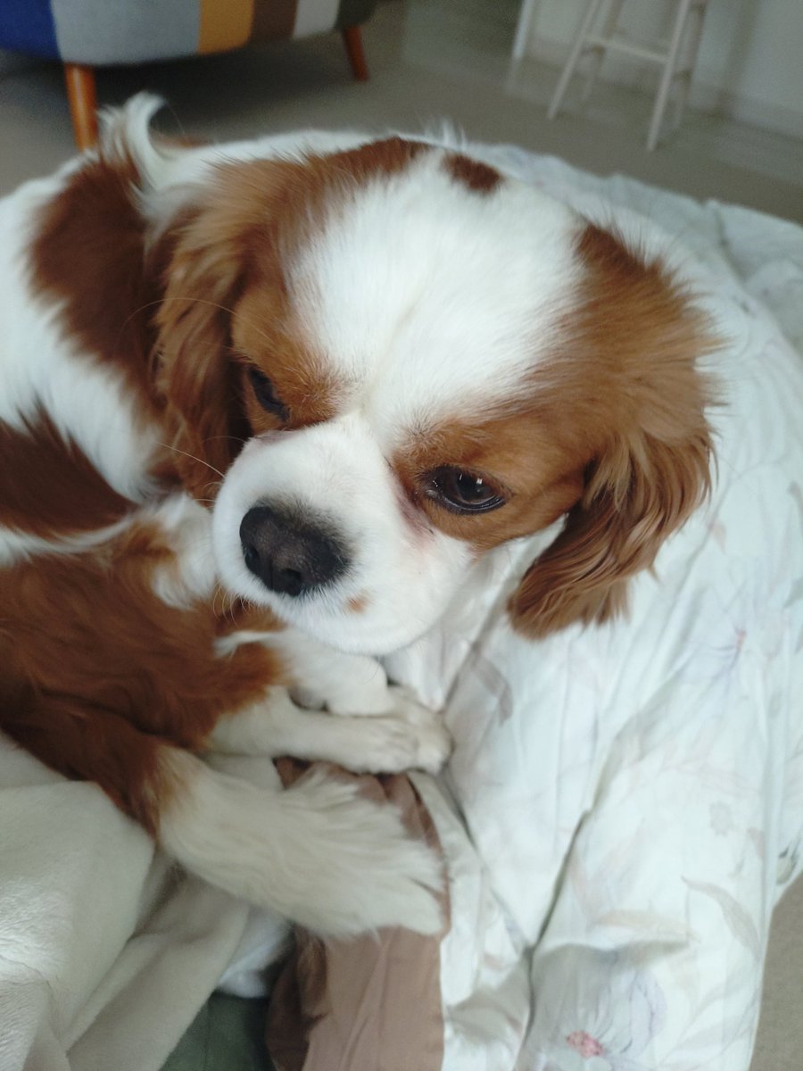 Mino56｜Hokkaido Fishing tweet media