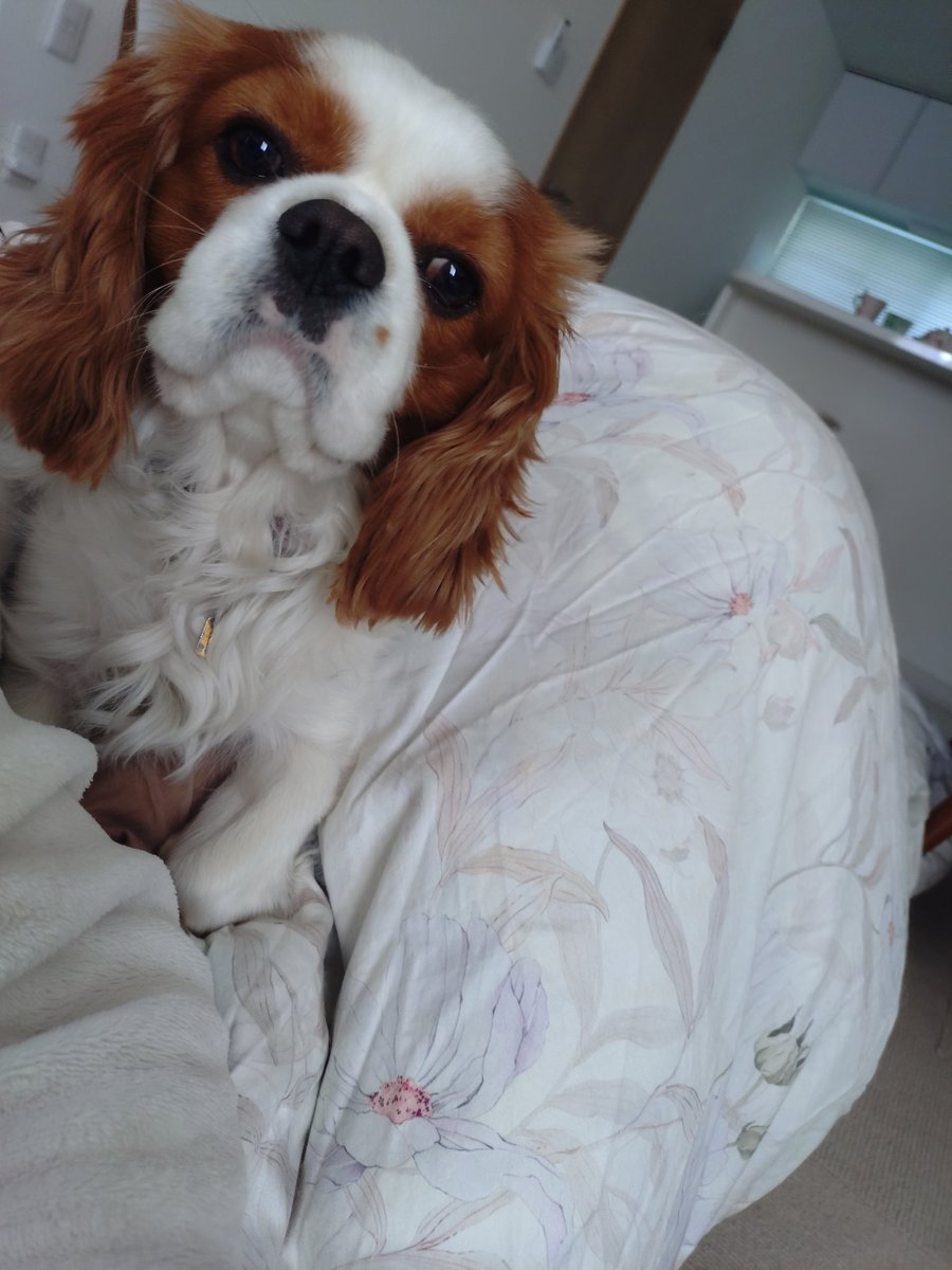 Mino56｜Hokkaido Fishing tweet media