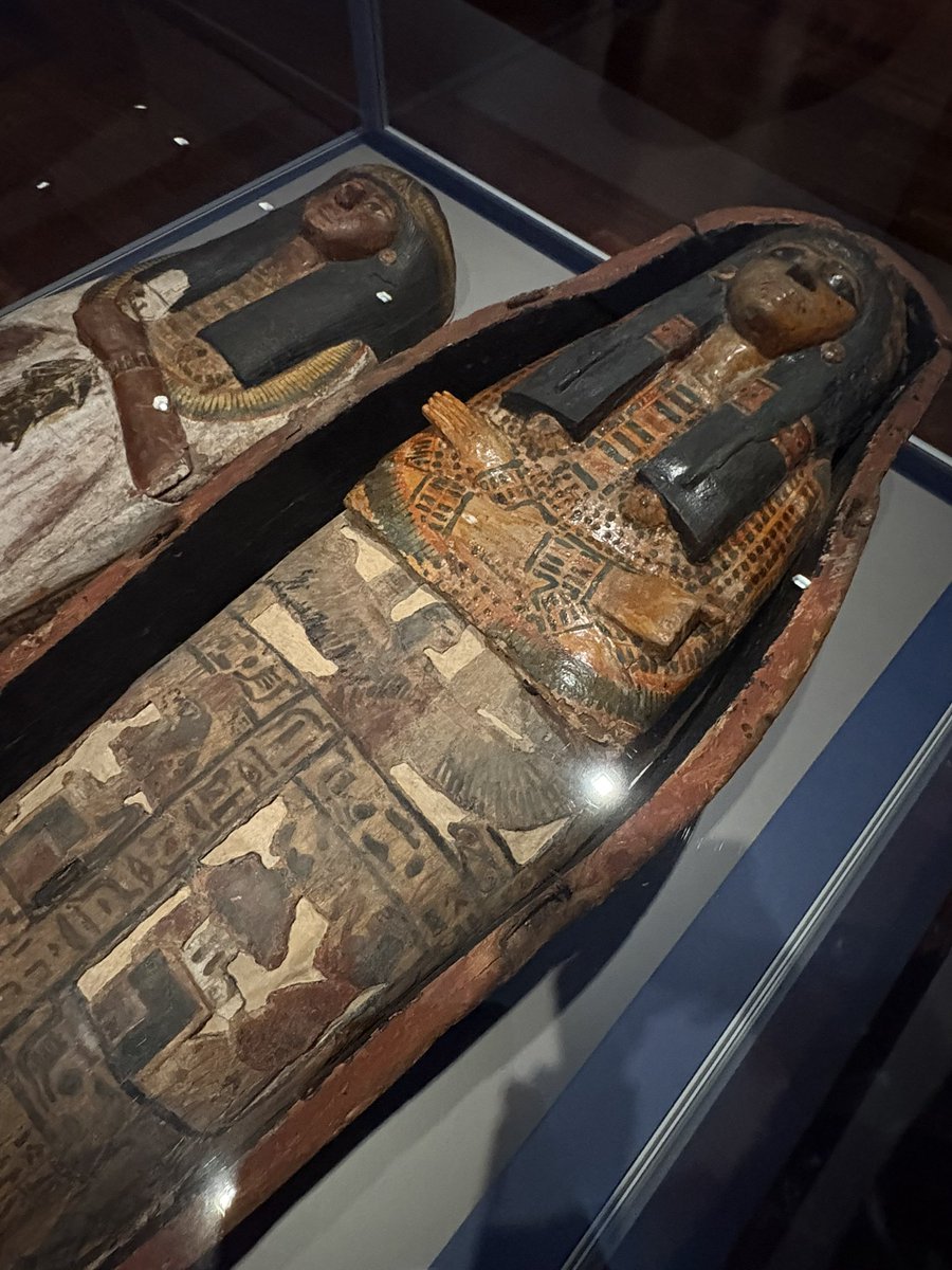 Yuji@神戸っ子🏯 tweet media