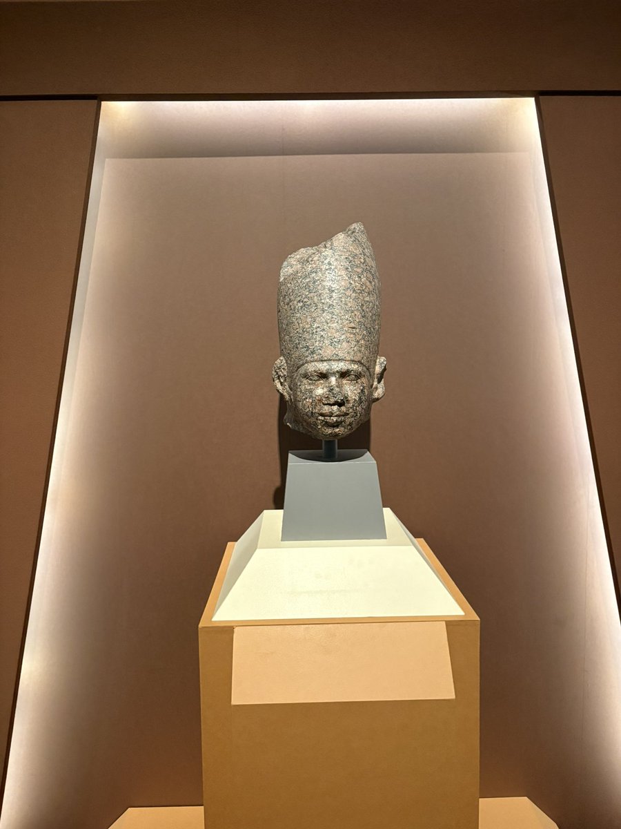 Yuji@神戸っ子🏯 tweet media