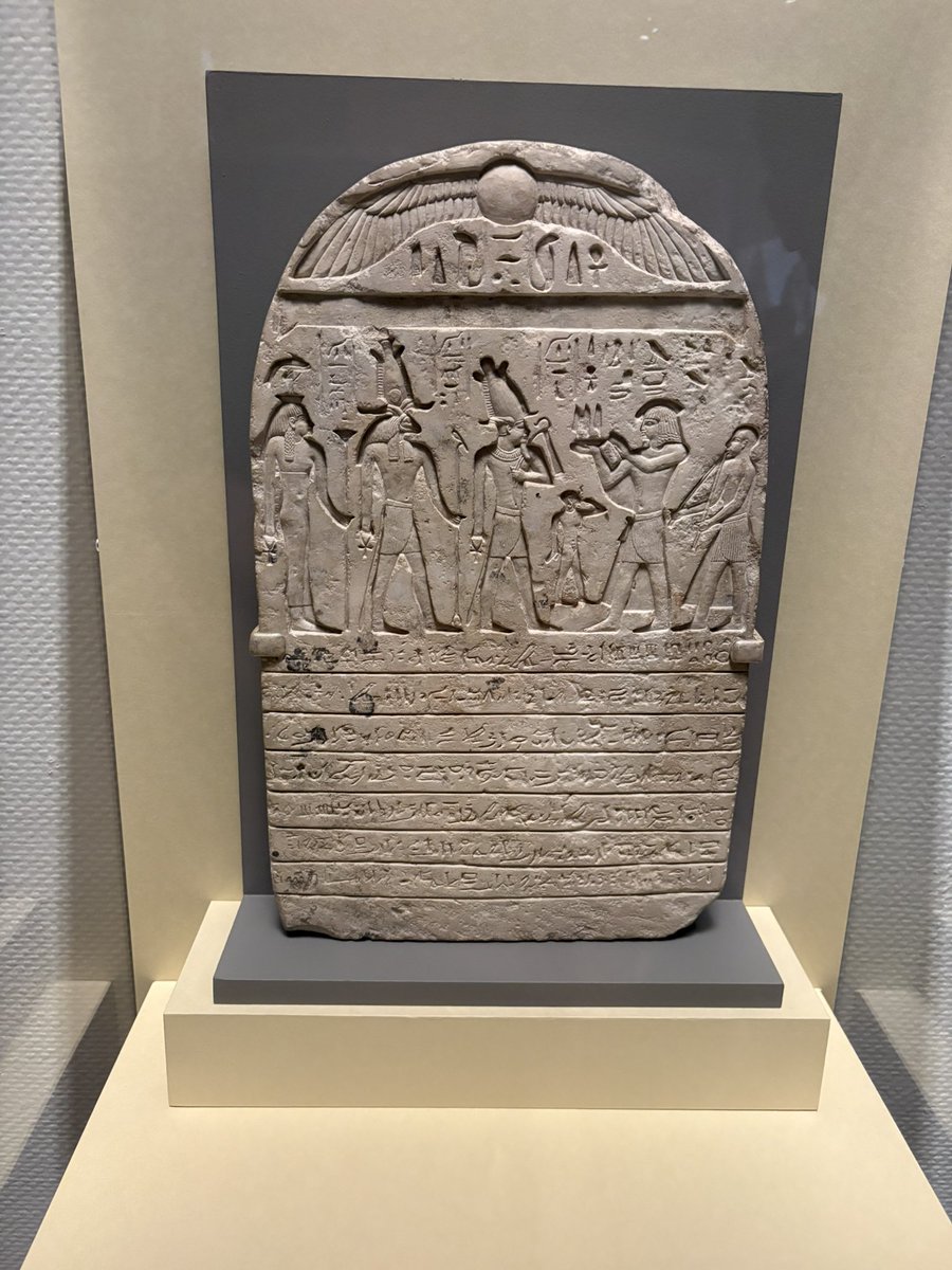 Yuji@神戸っ子🏯 tweet media