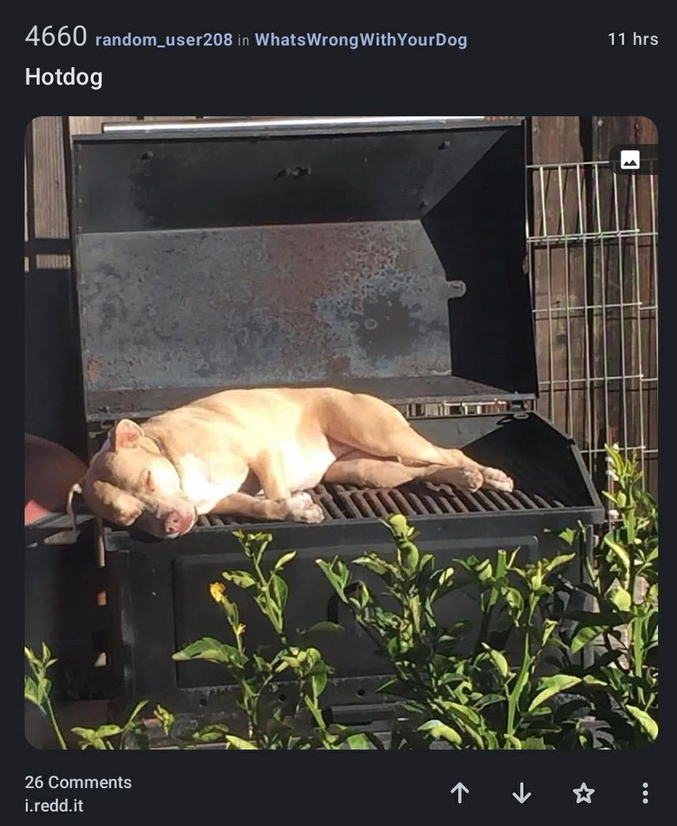 mortis 🪩 tweet media