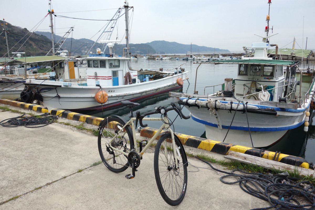 どーらく tweet media