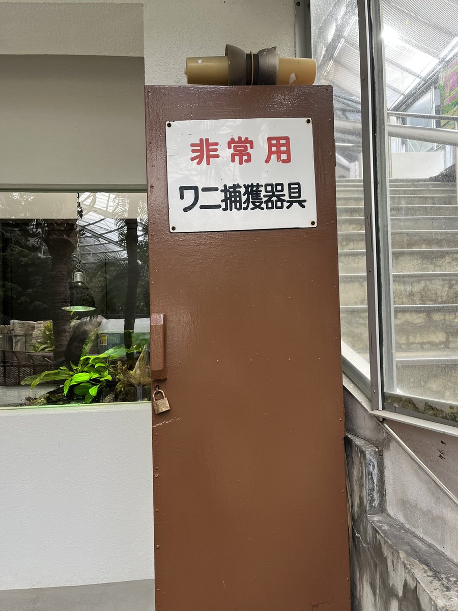 イノリョウ🐟 tweet media