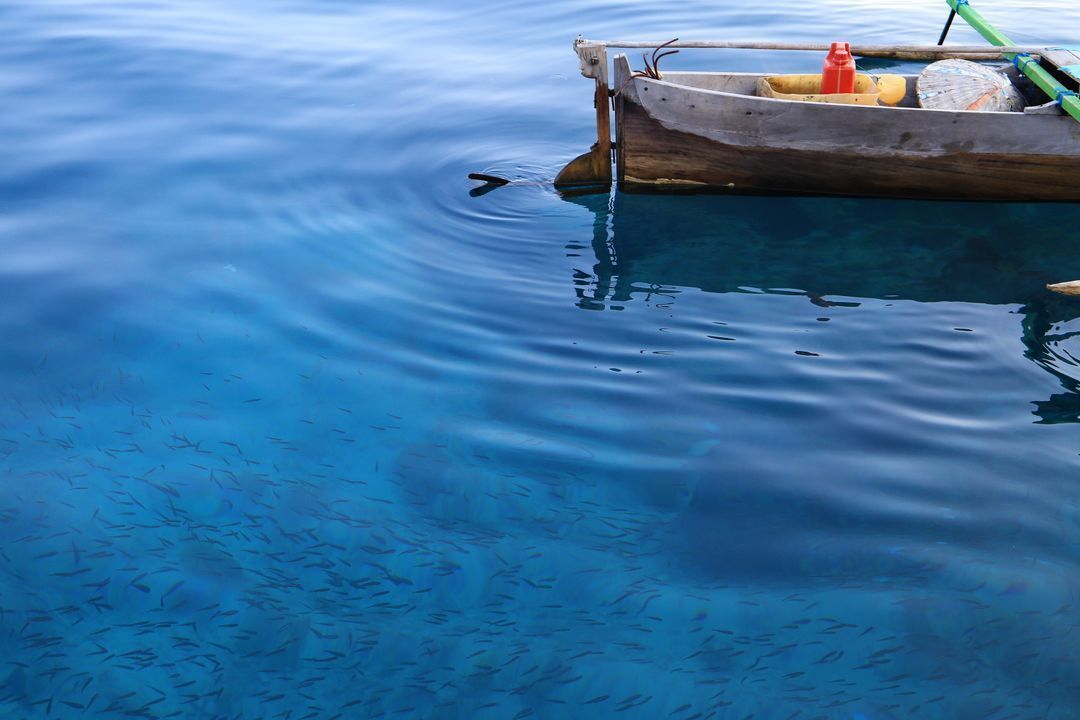 FrstHand tweet media