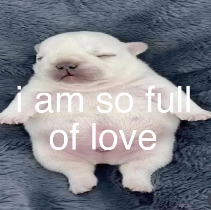 caninepoetry tweet media