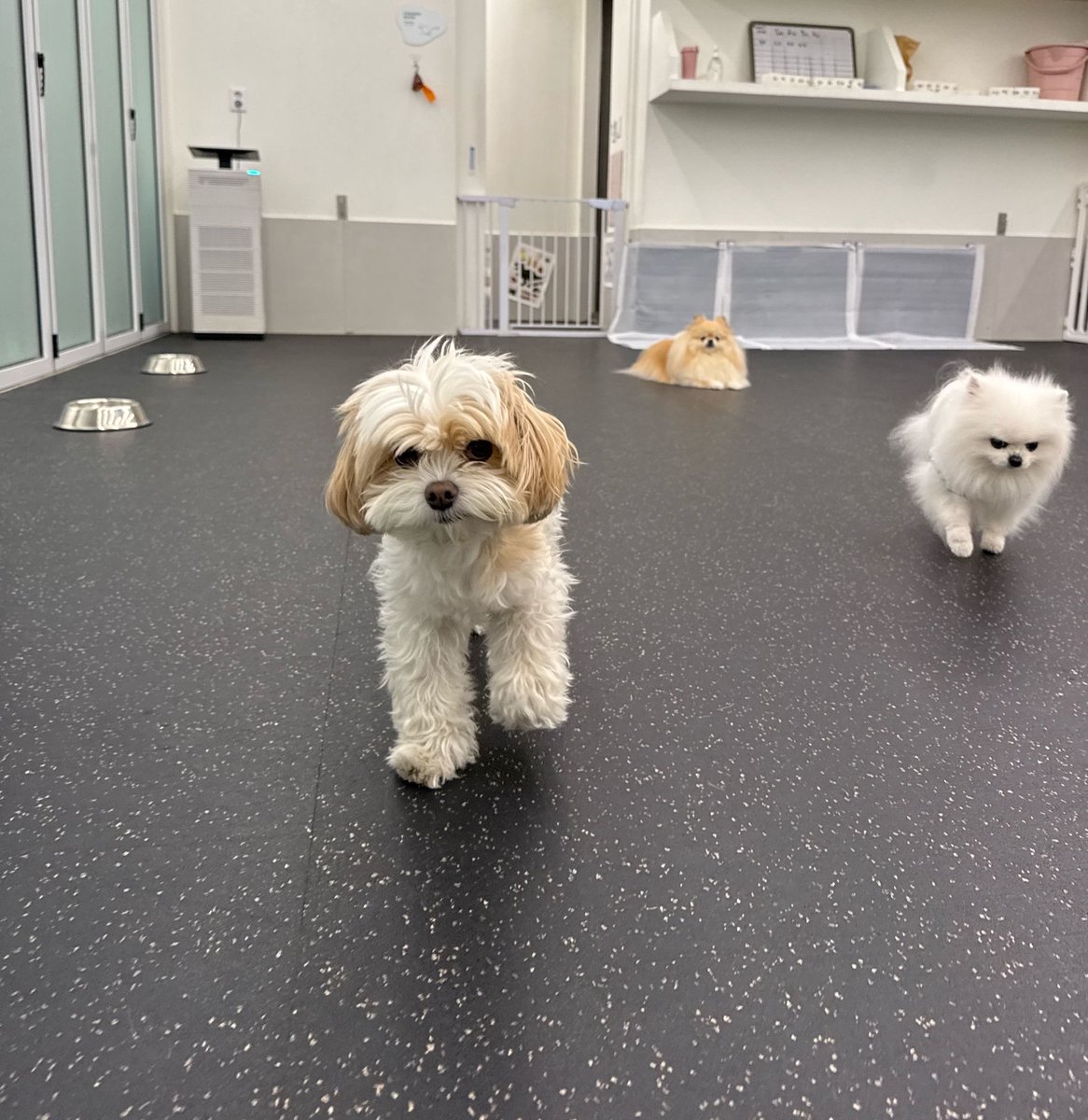 여리❤️ tweet media