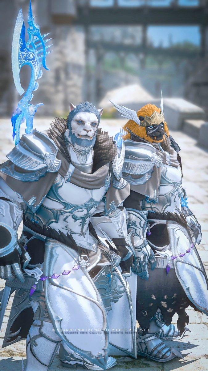 ジンクロ tweet media