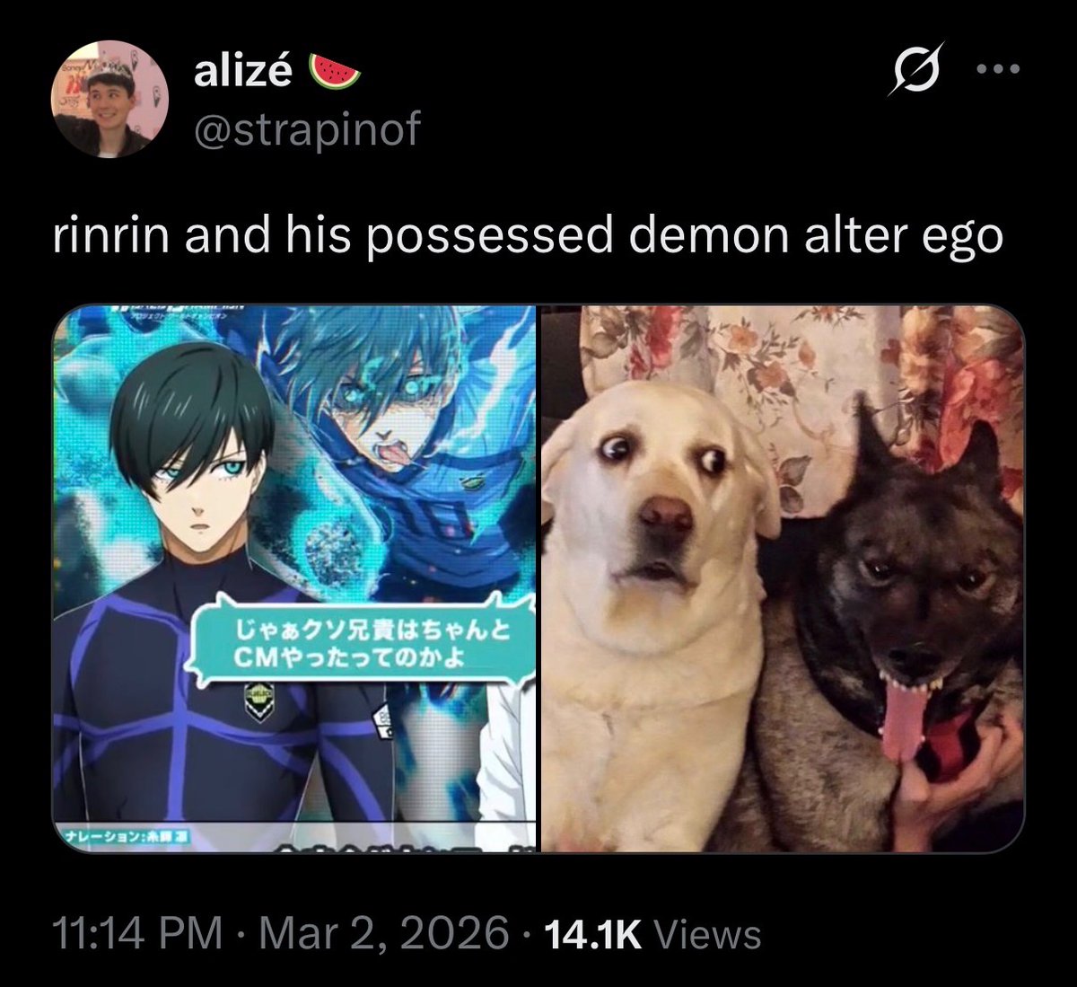 alizé 🍉 tweet media