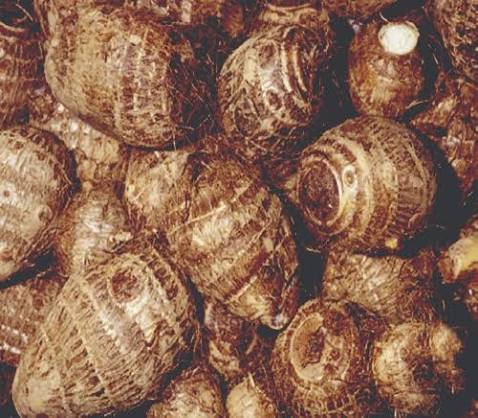 Onwa_Nnewi tweet media