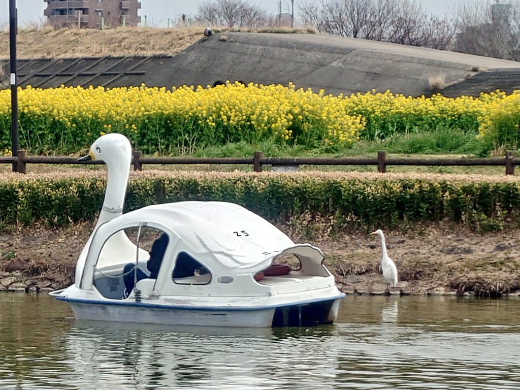 あわわ tweet media