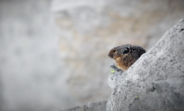 Daniela Fox tweet media