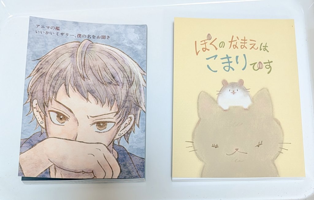 本日、文学フリマ東京42で頒布予定の本『アニマの檻・いいかいミザリー、僕の名をお聞き』『ぼくのなまえはこまりです』が印刷所から届きました🥳誰かの手に届くことを心より願っております！
#文学フリマ　#文学フリマ東京　#文学フリマ東京42 #文フリ　#文フリ東京　#文フリ東京42