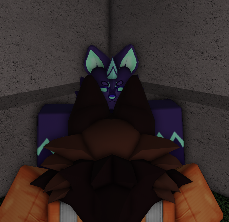 VIP Nightshade ͠≖ ͜ʖ͠≖ tweet media