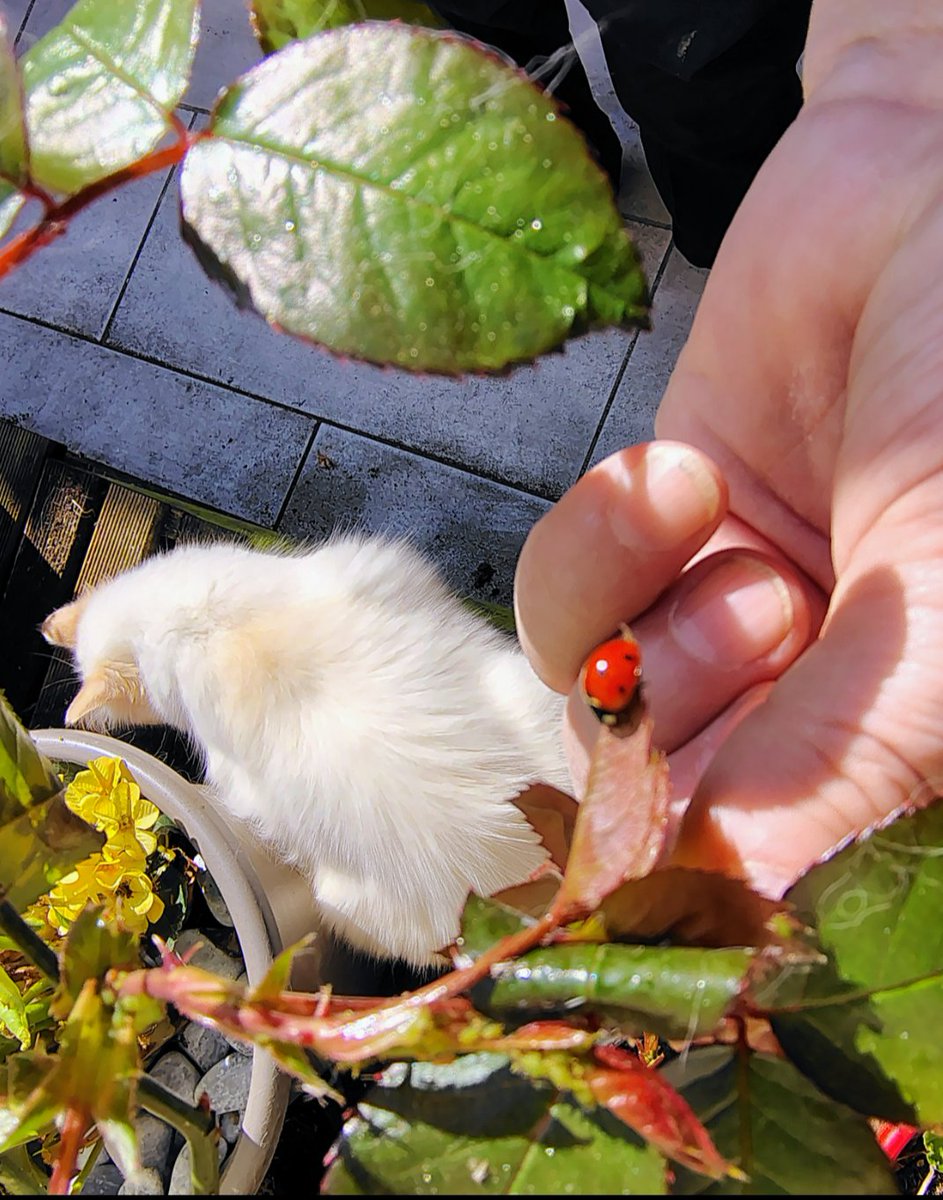 AnneEecke tweet media