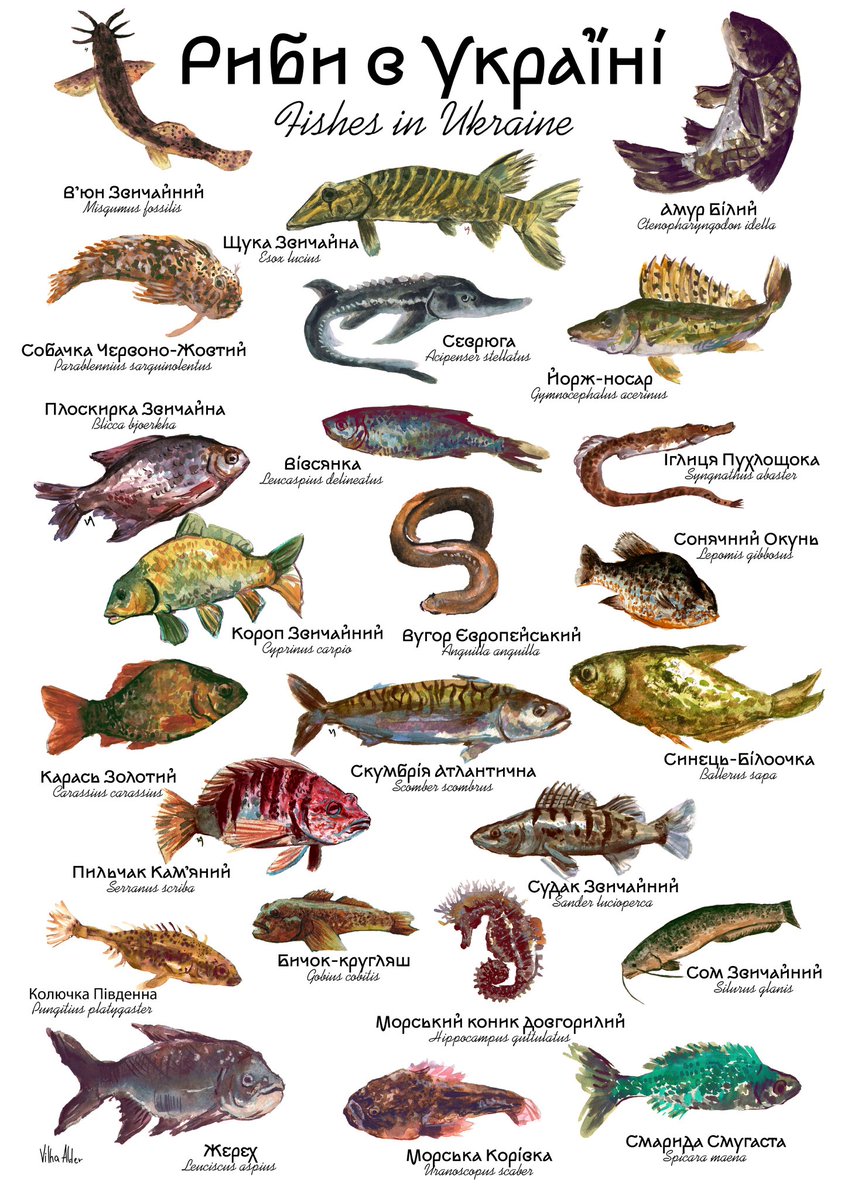 weretree Vilha| COMMS OPEN tweet media