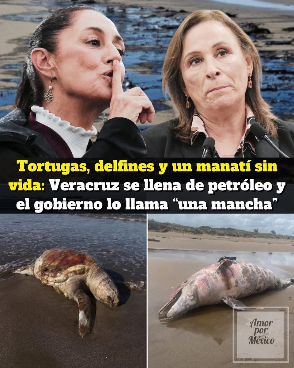 🚨⚠️

Duo de ineptas, traidoras a México 🤬🤮 lacayas serviles del #NarcoExpresidenteAMLO 
Por eso las elige, por que solo saben robar, mentir y traicionar! Lástima … 🦎🦎