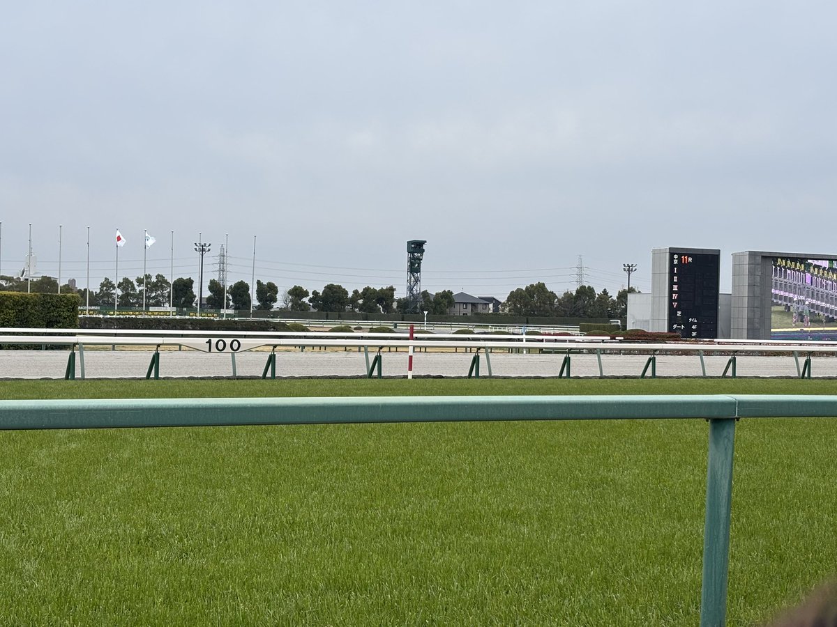 Yuriru_pokemon's tweet photo. 中京競馬場に家族で遊びに行きました！しかも大プラス！嬉しい！！ https://t.co/0OXmsYKisW