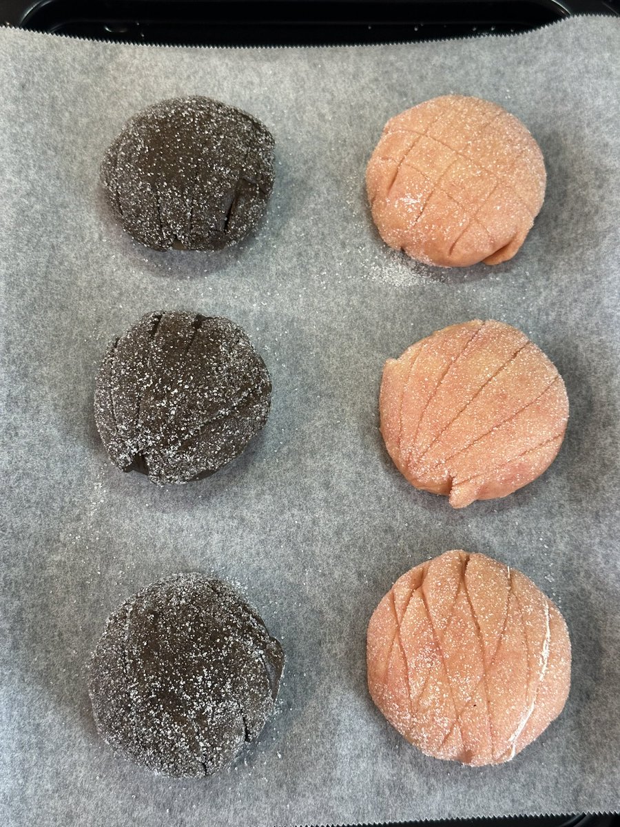 パンをこねるねこのて🐱🥖 tweet media