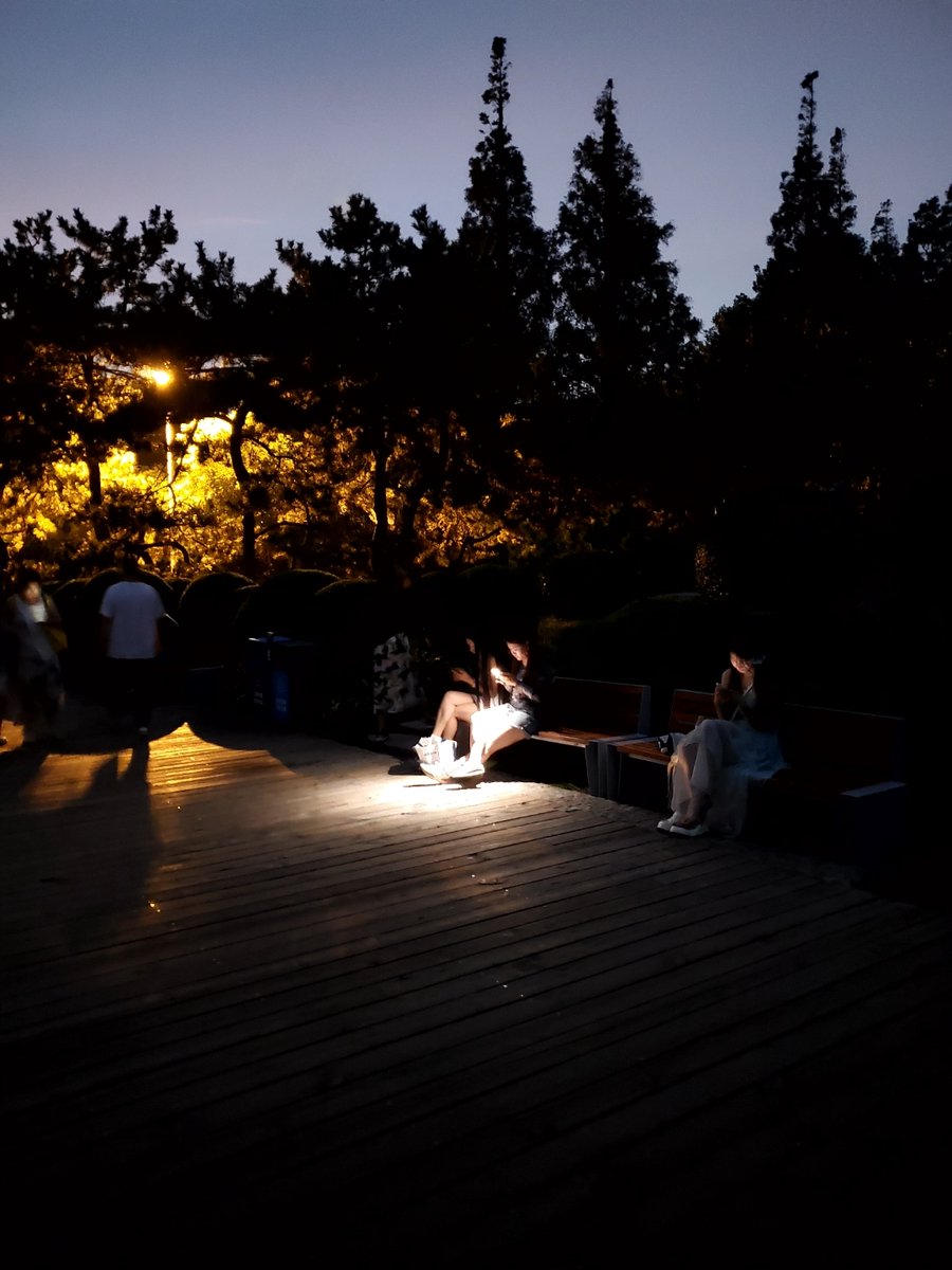 Rodrigo Díaz Watson tweet media