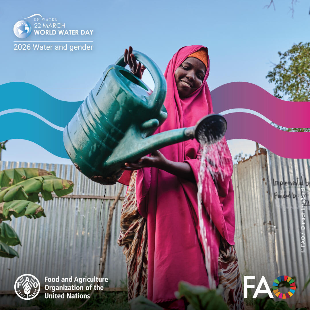 Food and Agriculture Organization tweet media