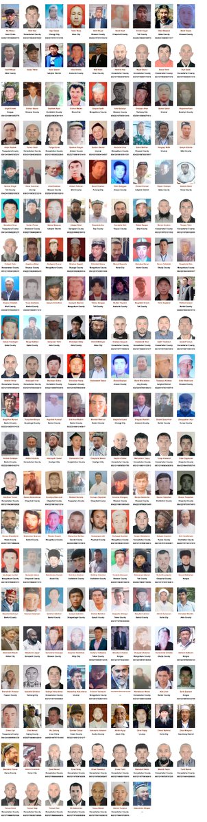 Xinjiang Victims Database tweet media