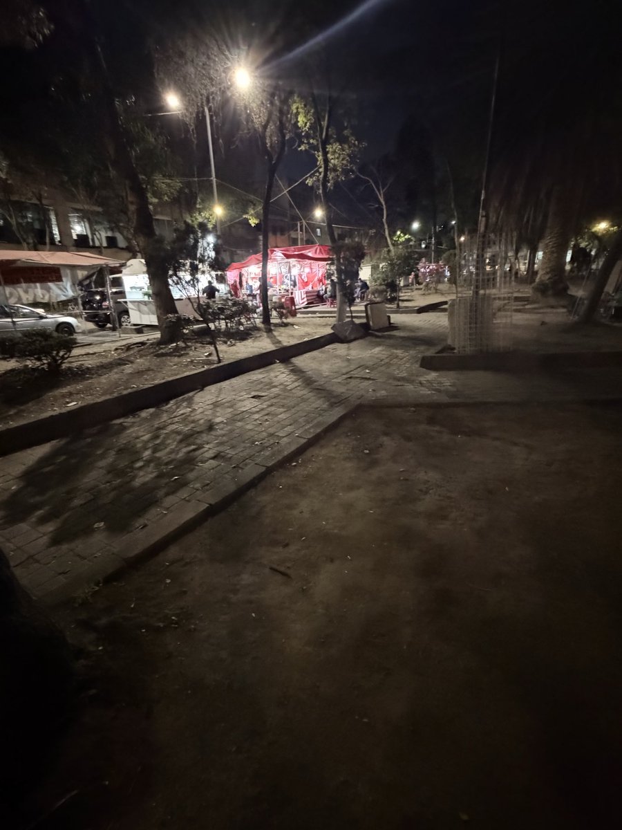 Pedrin solin tweet media