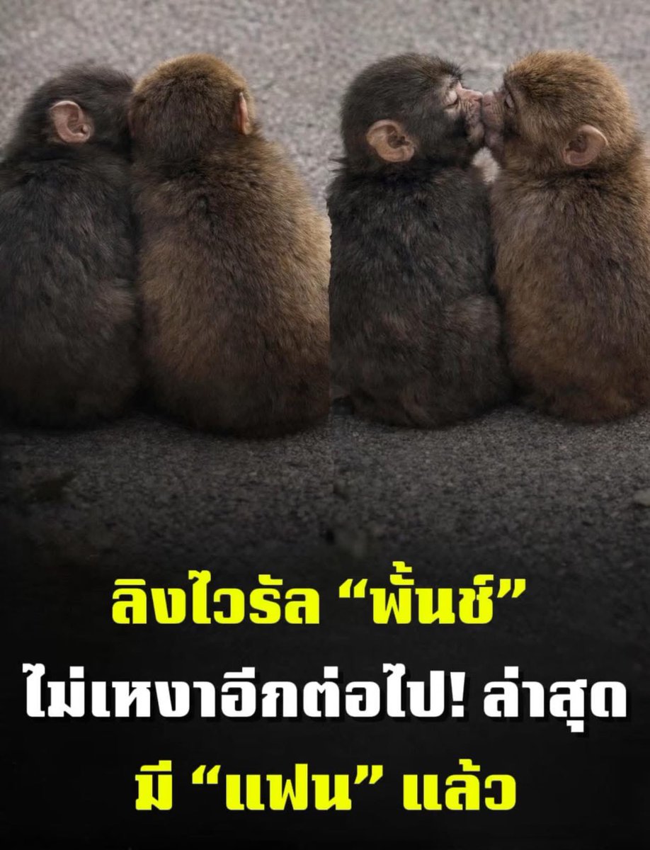 เด็กชายคำคม tweet media