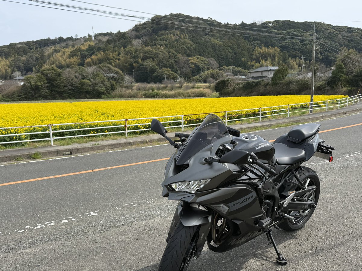 Snowflake_029's tweet photo. アクアライン経由で南房総を
ぐるっとして来ました！

連休最終日で多くの
ライダーさんとすれ違いましたが
ウェビックのヤエーは3回だけ🥺

#ZX4R https://t.co/3ep23S8oTK