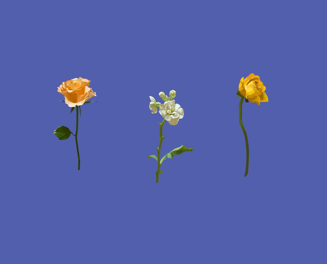 ヤスダ佳澄 / フールナイト tweet media