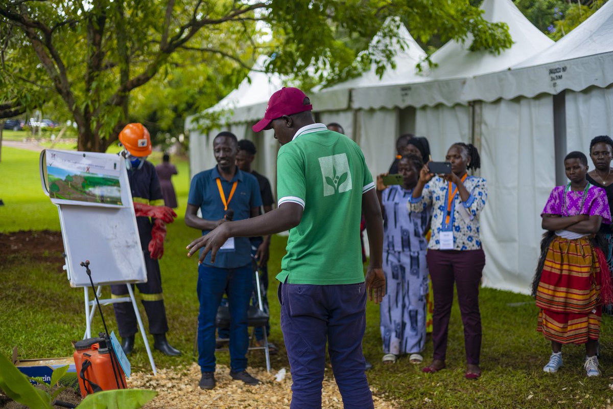 NdejjeViewPS's tweet photo. 📍This inter cropping stood out. #TUYouthSymposium #InspiredYouth #TeamUpYouthSymposium https://t.co/gHT7RPtB3F