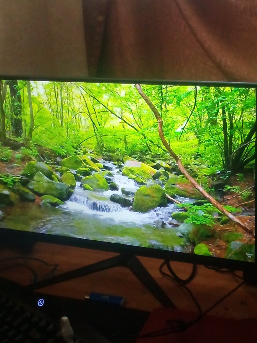 noA Shinkō tweet media