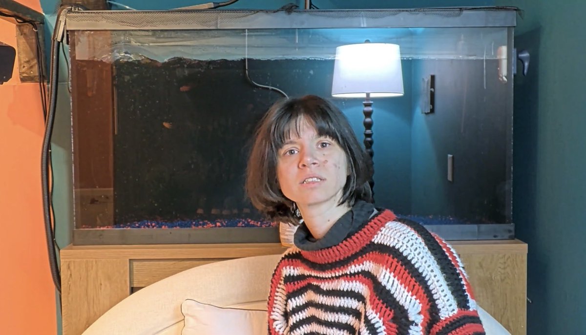 Nora Void tweet media