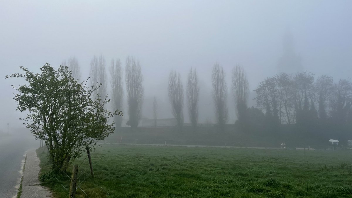 Johan Morren tweet media