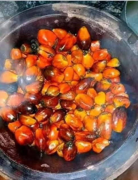 Onwa_Nnewi tweet media