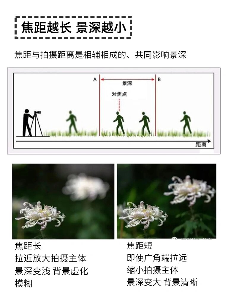 Mauricio Moreno tweet media