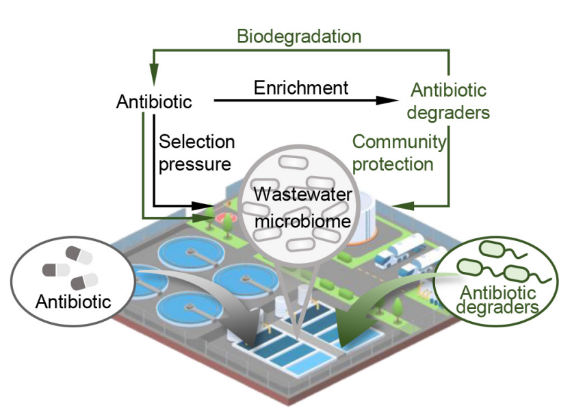 New Community tweet media