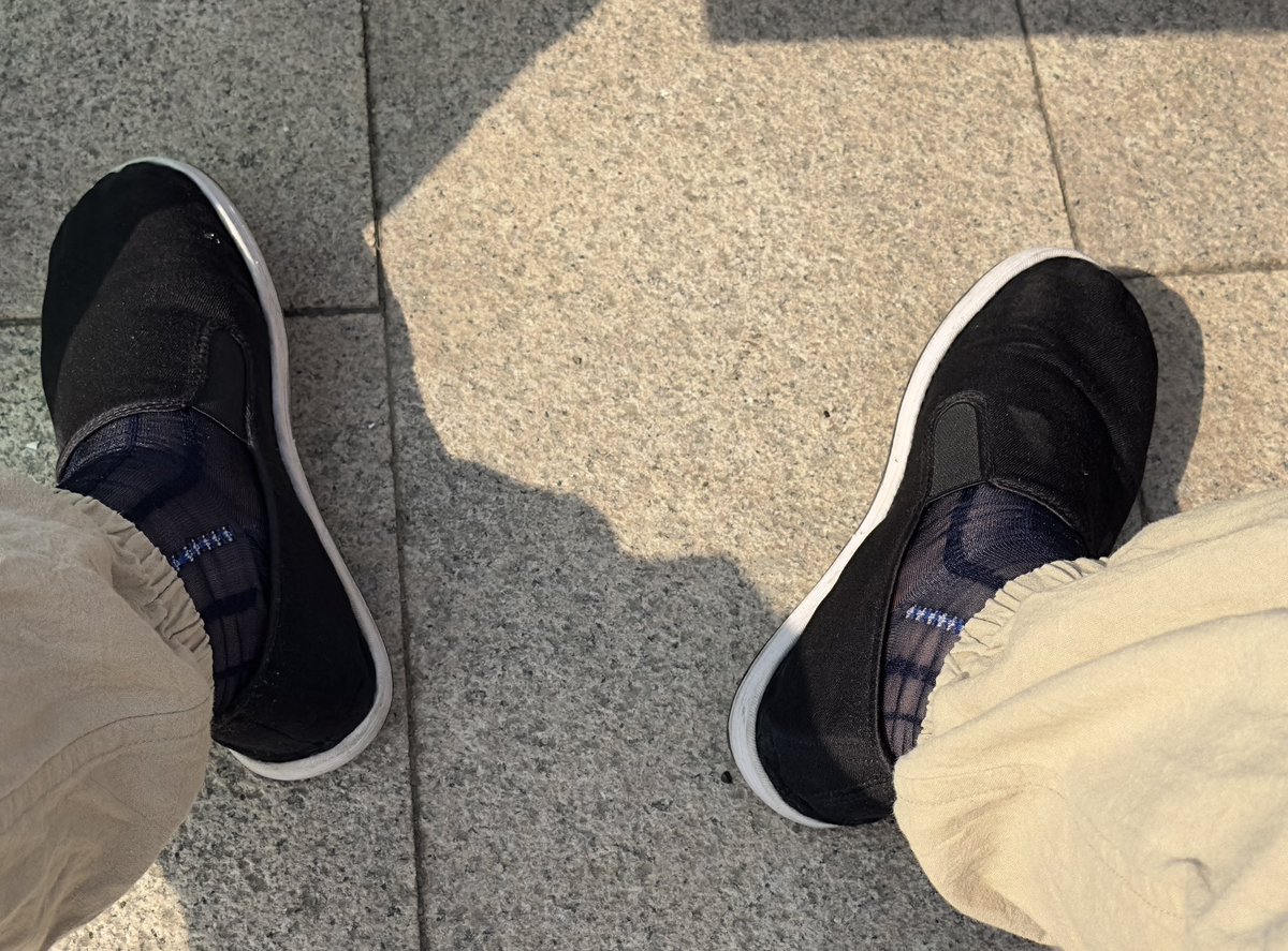 熊主任 tweet media