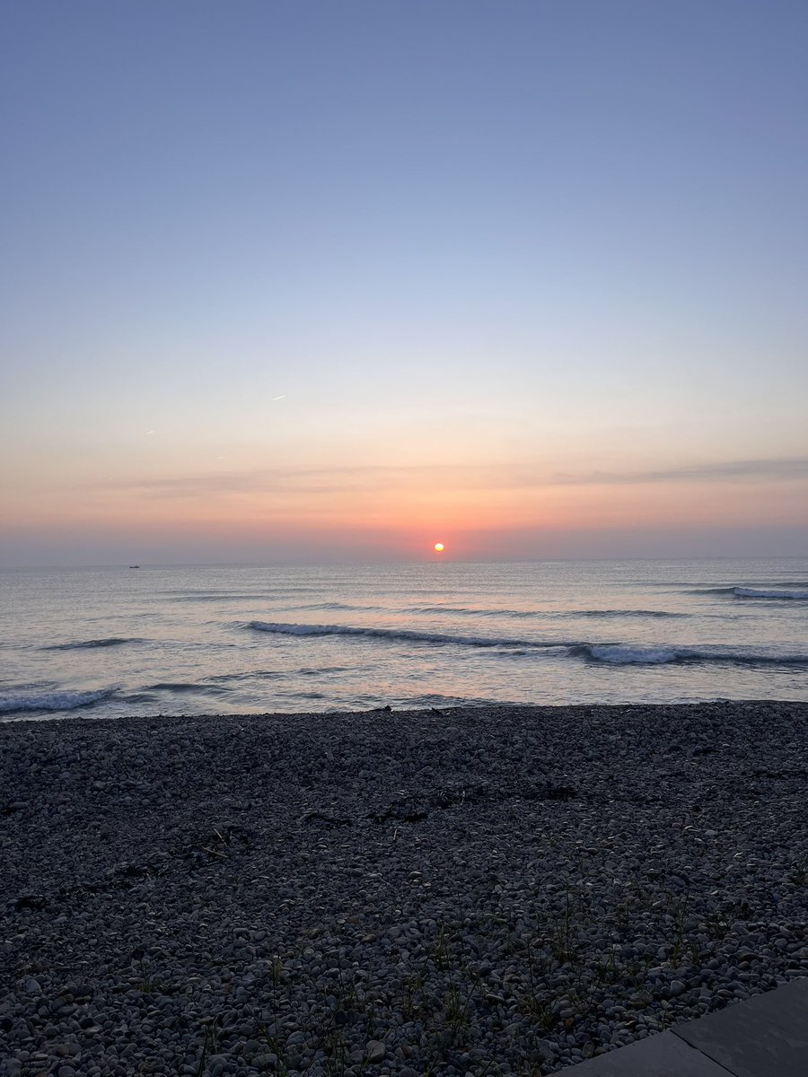 Old Lady Brain 🩸 tweet media