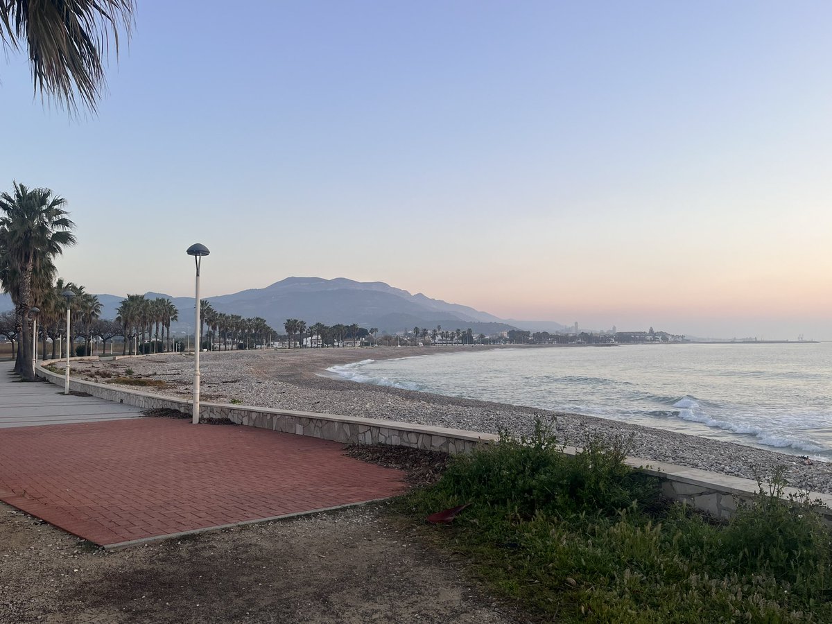 Old Lady Brain 🩸 tweet media