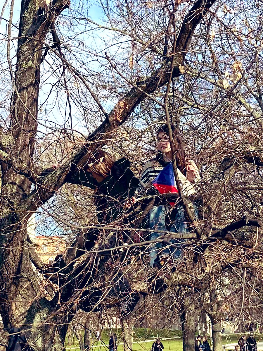 Mauser de Vader tweet media