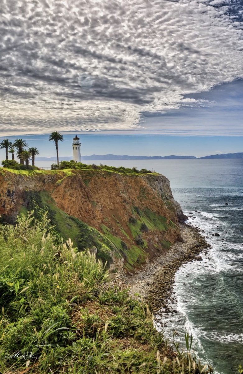 Treat your Trick tweet media