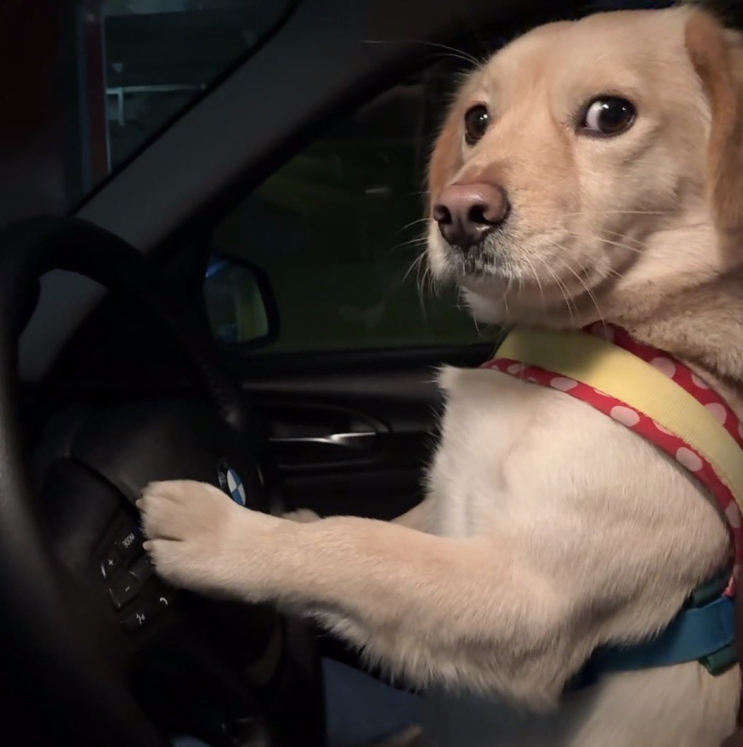 him 💌 tweet media