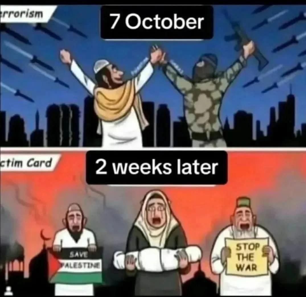 Churchill fan tweet media