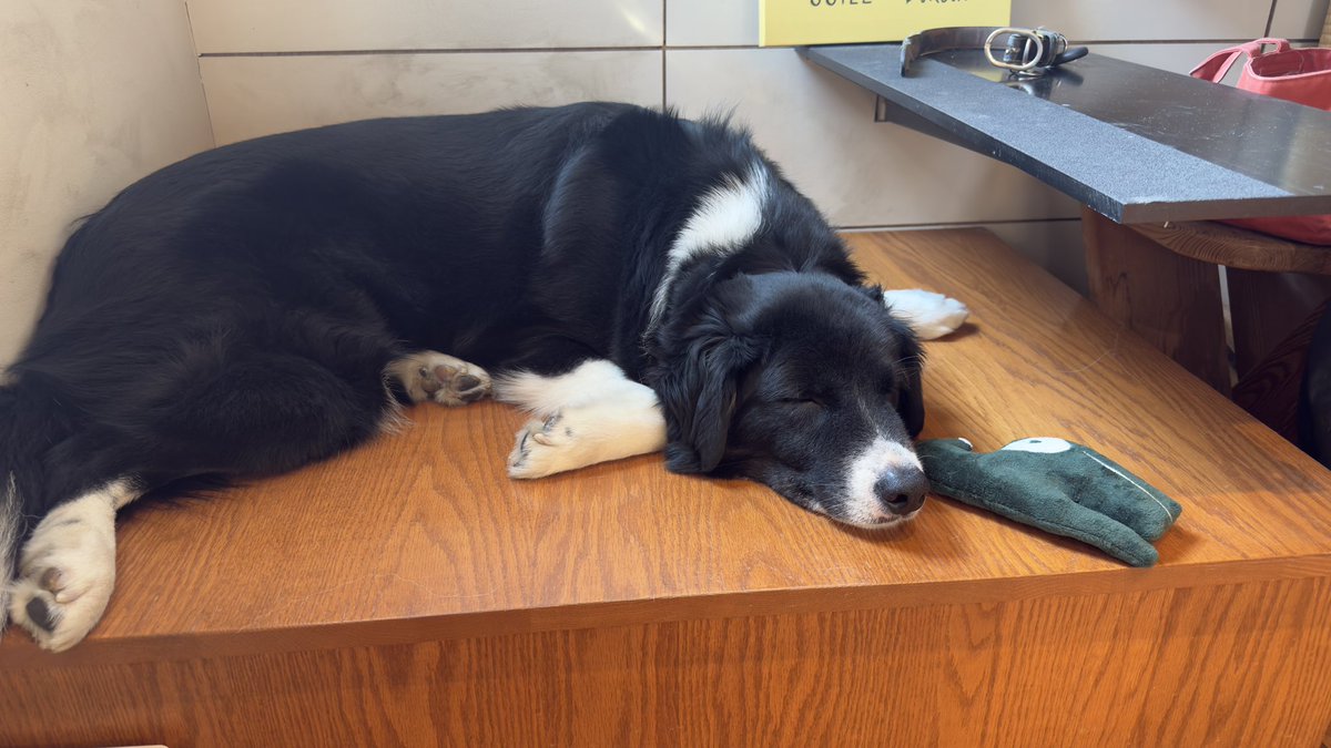 씨즈 | ssizz tweet media