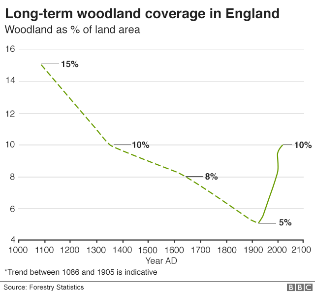 JulesDingle tweet media