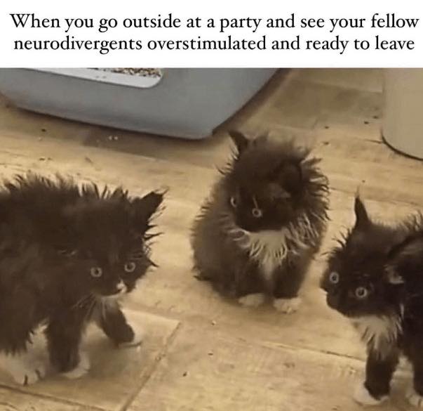 No Nonsense Neurodivergent tweet media